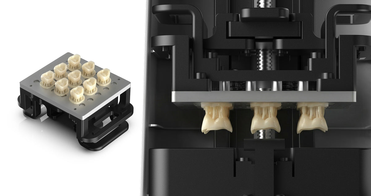PioNext Mini ceramic crown printing workflow