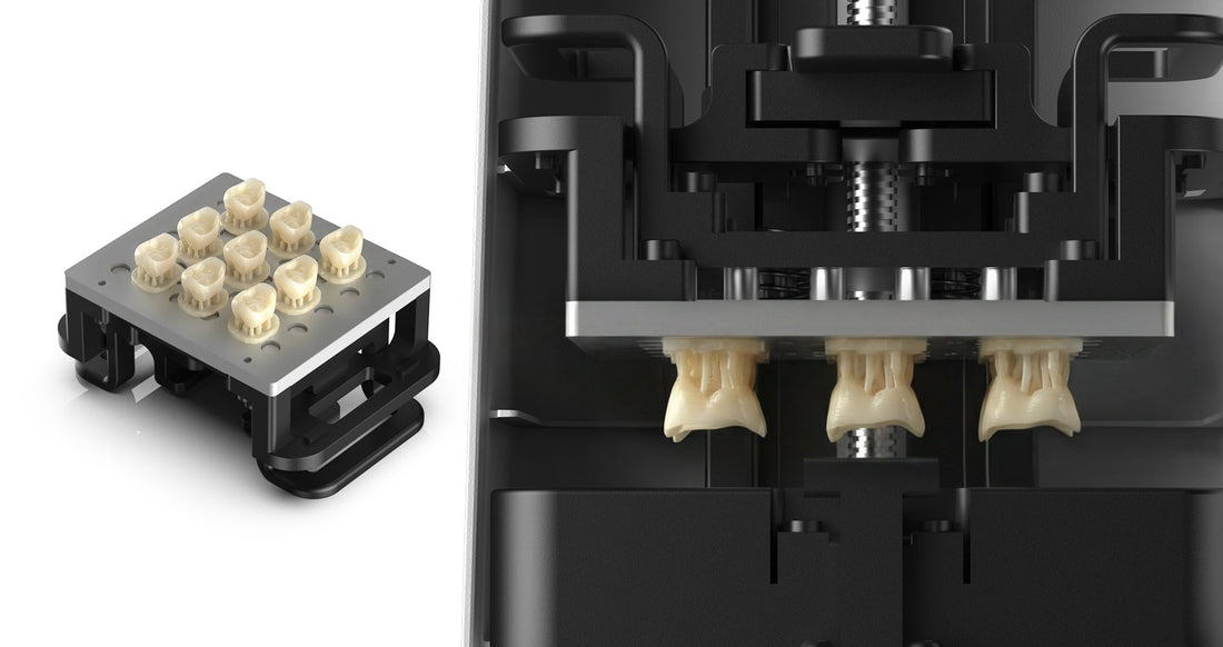 Dental resin parts produced in a controlled PioCreat printing workflow